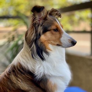 Meet your Posher, Tim